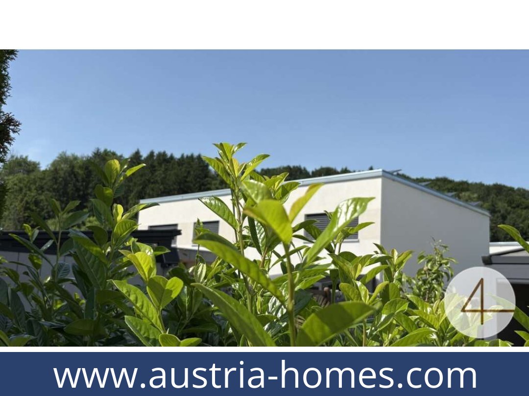 austria-homes-kematen an der ybbs-3331-20250920124736-0021501025.jpg
